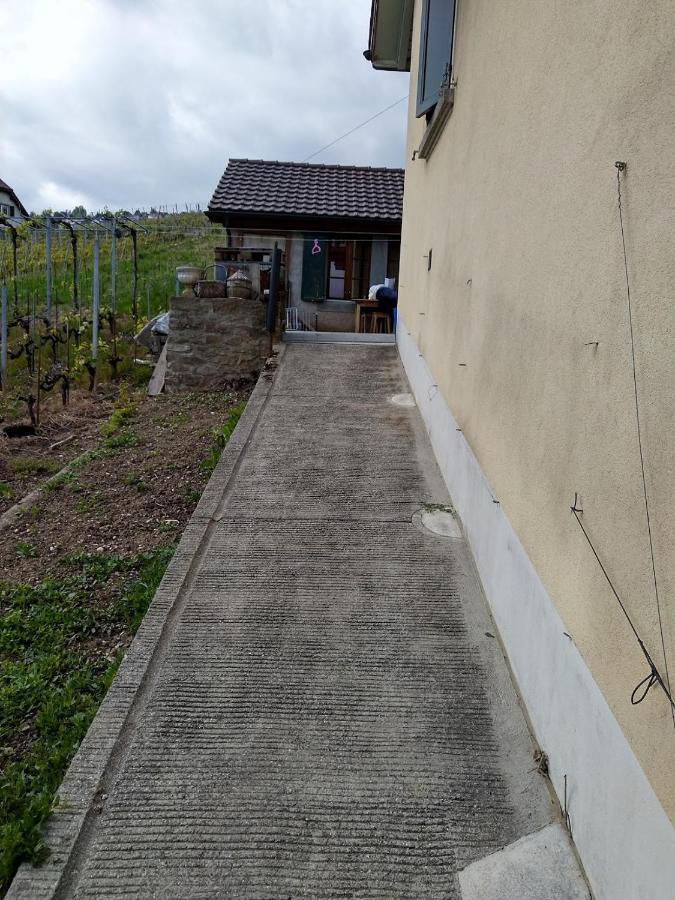 Charmante Maison Au Coeur Du Lavaux, Cully, Cuisine, Wifi, Les Echalas Exterior foto