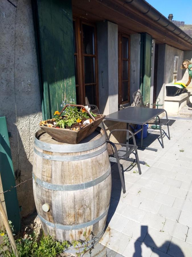 Charmante Maison Au Coeur Du Lavaux, Cully, Cuisine, Wifi, Les Echalas Exterior foto